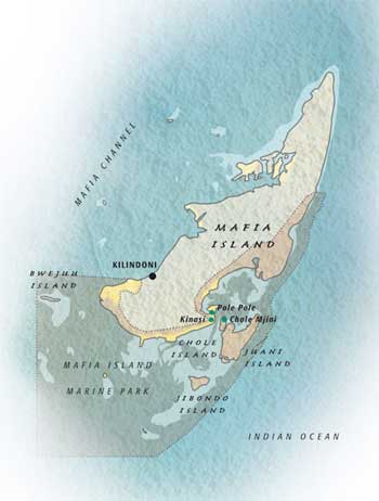 http://www.expertafrica.com/map/tanzania/mafia-island.asp