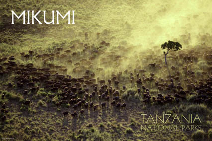 Poster del Parco Nazionale - tanzaniaparks.com